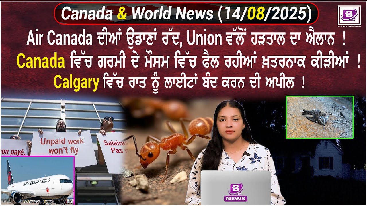 Canada & World News (14 August 2025)