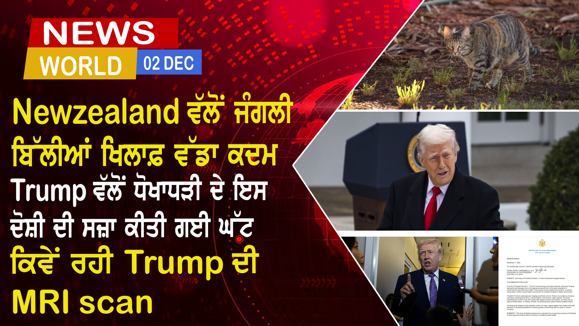 World News in Punjabi (2 Dec 2025)